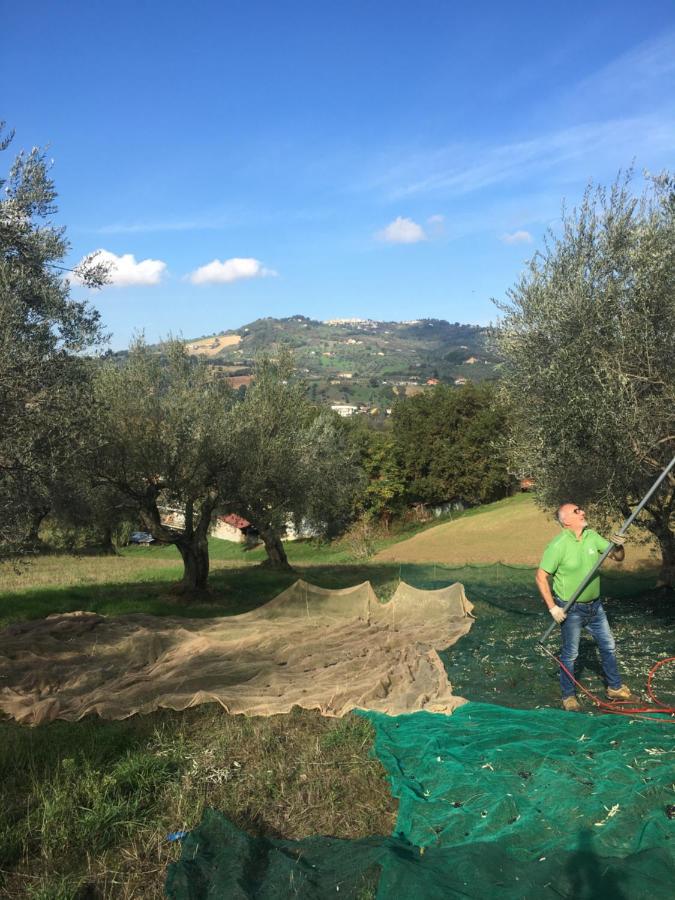 B&B La Casa Di Giuliana Cermignano Екстериор снимка