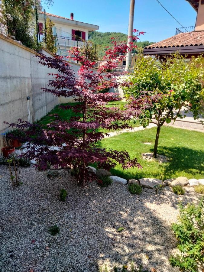 B&B La Casa Di Giuliana Cermignano Екстериор снимка