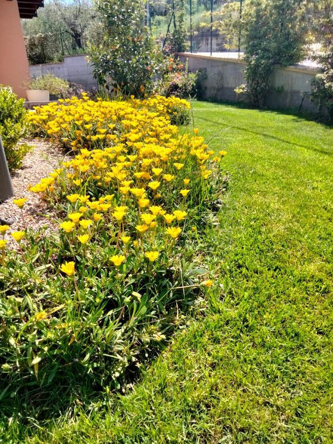 B&B La Casa Di Giuliana Cermignano Екстериор снимка