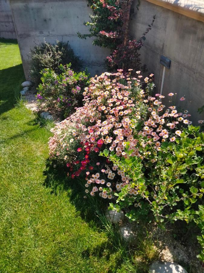 B&B La Casa Di Giuliana Cermignano Екстериор снимка
